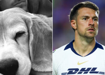 Aaron Ramsey shares heartbreaking update with lost dog Halo after offering huge reward to find missing pooch in Mexico