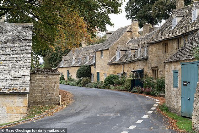 Hedley Adkins, who lives in a house built in the 80s, was one of the main villagers leading the campaign for Article 4 to be brought in and said: 'The Article 4 is absolutely superb'