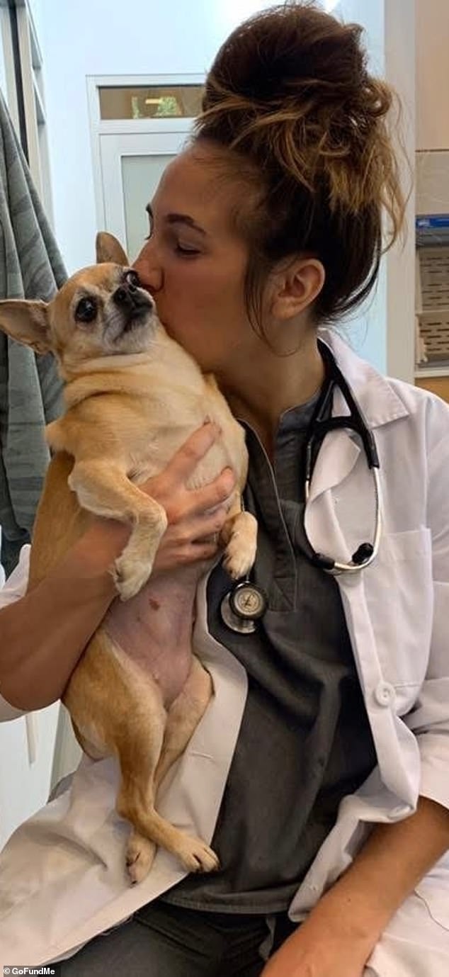 Semanchik worked as a vet. Her place of work started a memorial GoFundMe, which has garnered $97,000 for her family