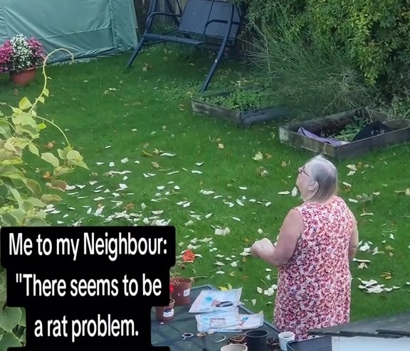 A woman in a floral top in a garden with text asking if the neighbor should only feed birds birdseed due to a rat problem.