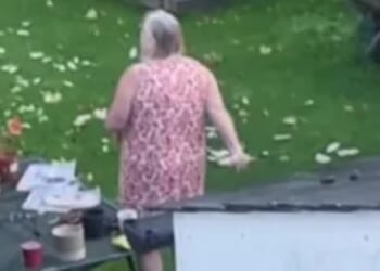 Woman left in garden war with her neighbour as she throws out sliced meat for the ‘birds’ only to be overrun with pests