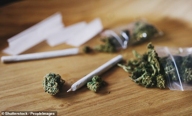 Cannabis contains THC, a compound that can affect the brain in many ways. Studies suggest it can reduce the amount of grey matter - important for processing information and sensory control (file image)