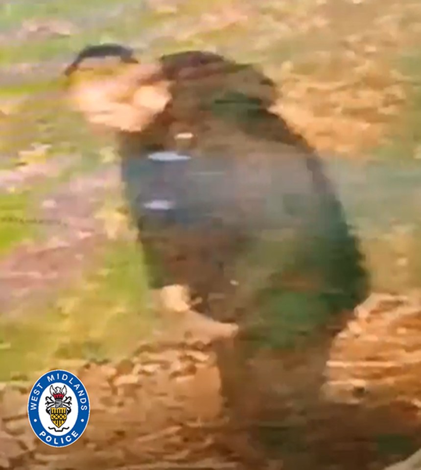 CCTV image of a man believed to have carried out a rape of a woman in a racially aggravated attack.