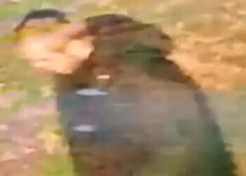 Woman in her 20s 'raped in racially aggravated attack' as cops release CCTV of suspect