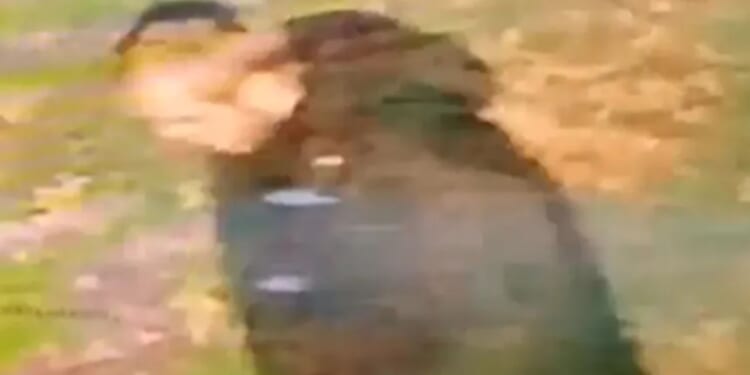 Woman in her 20s 'raped in racially aggravated attack' as cops release CCTV of suspect