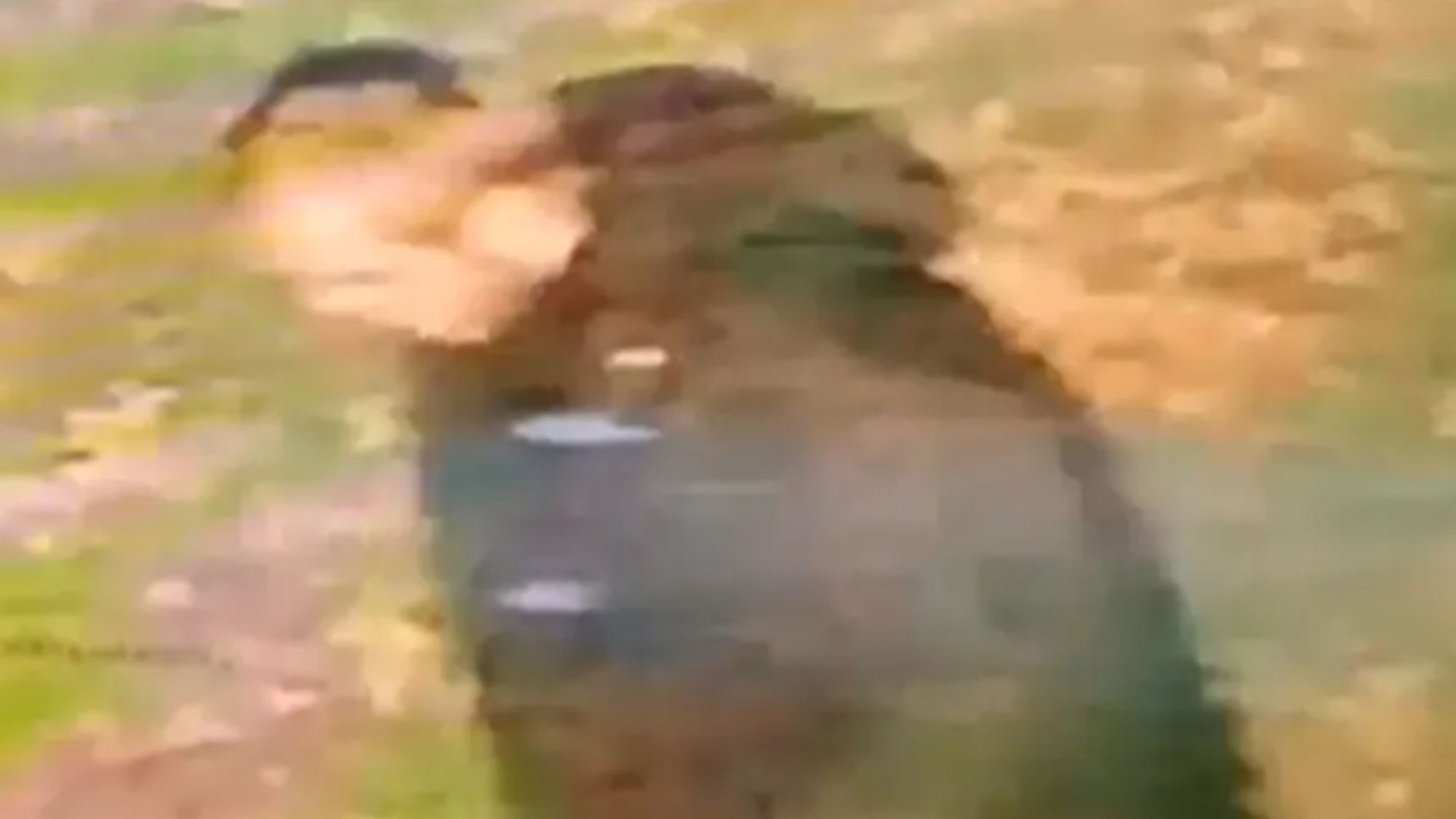 Woman in her 20s 'raped in racially aggravated attack' as cops release CCTV of suspect