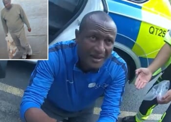 Sex attack migrant will be deported in days after being mistakenly freed from jail sparking frantic manhunt