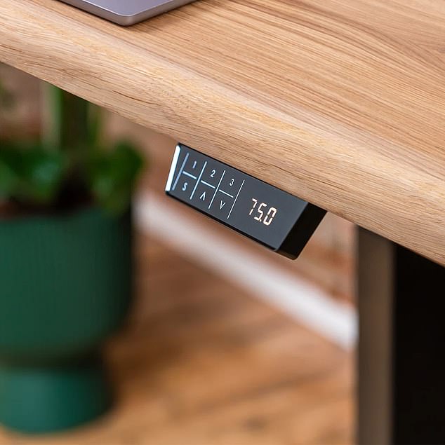 Receipts obtained by this newspaper under the Freedom of Information Act reveal his spree included an £877 oak desk from Domli, which boasts an electronic adjustment system