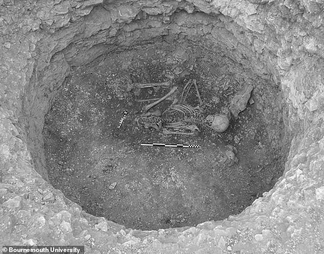 All the human remains will undergo further testing at Bournemouth and Dublin universities