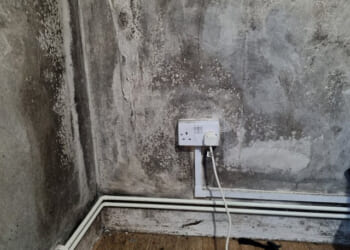 Millions of tenants protected as new law cracks down on death-trap homes