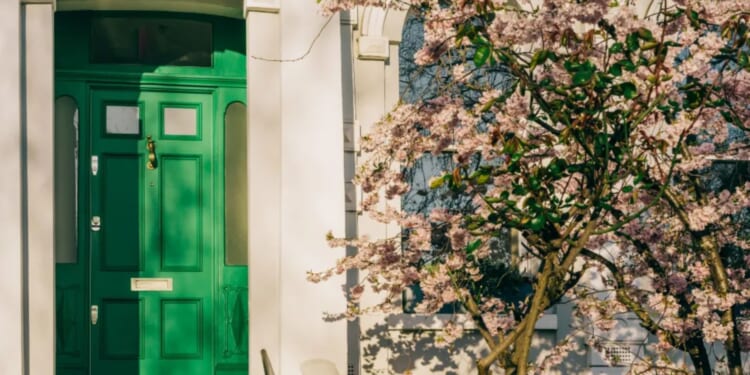 Home experts reveal 5 colours to paint your front door to make a big statement & have the trendiest house on the street