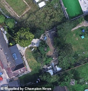 The McCarthy's 33-foot tall row of Leylandii trees after they were cut down following a row over the position of the boundary between the neighbouring gardens
