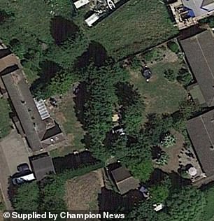 The McCarthy's 33-foot tall row of Leylandii trees before they were cut down