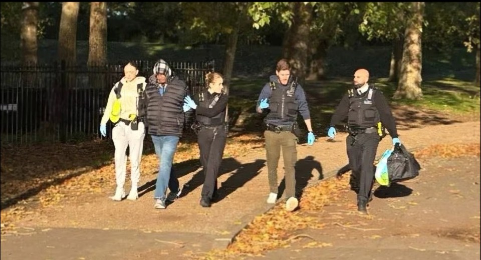 NINTCHDBPICT001034033654