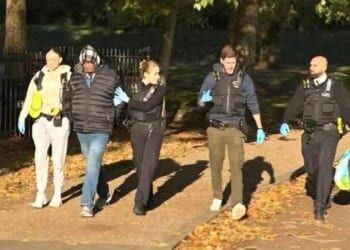 Prison that accidentally freed sex attack migrant early mistakenly released ANOTHER inmate