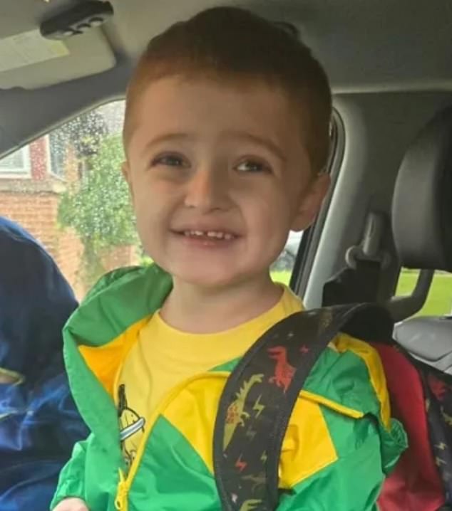 Julian, pictured, was stabbed in the face and back as he sat in a shopping cart. His mother tried to rescue him but his injuries were too severe