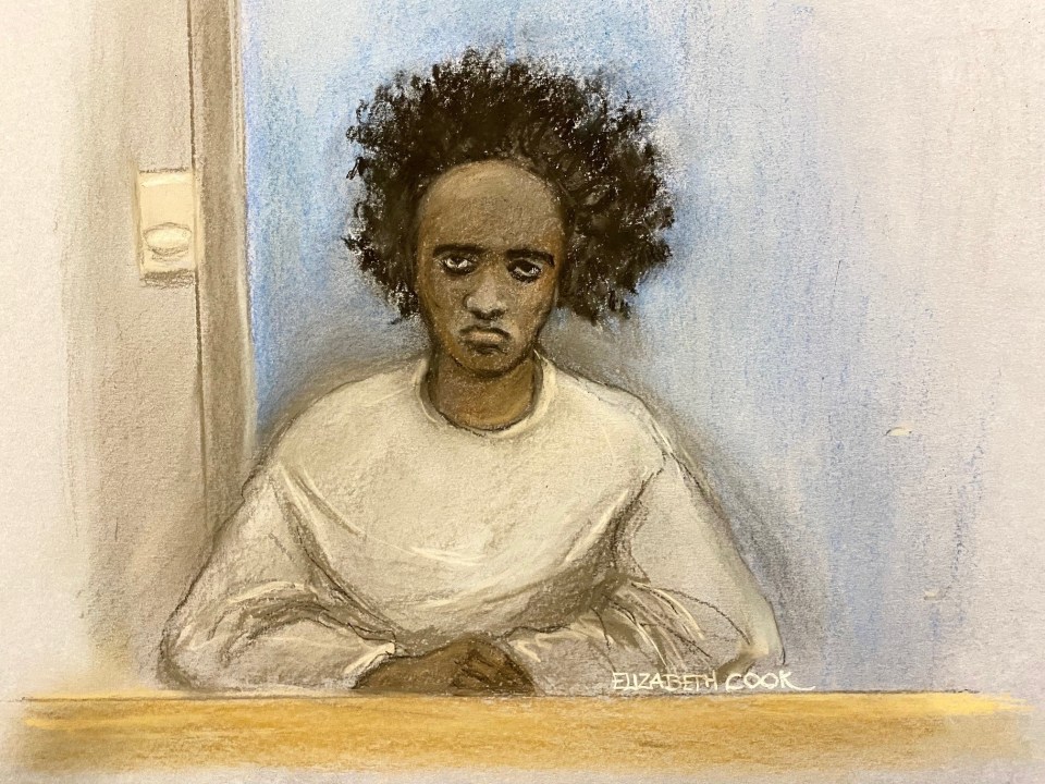 Illustration of Axel Rudakubana, an 18-year-old, with dark curly hair and a neutral expression, wearing a light-colored top, behind a wooden bar.