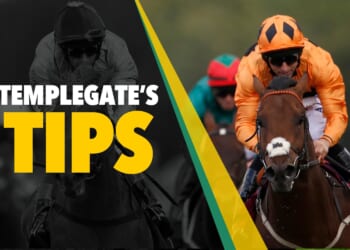 Horse racing tips: 'Local heroes can strike with a fine filly in first-time cheekpieces'