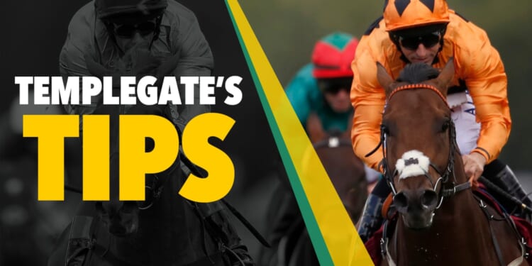 Horse racing tips: 'Local heroes can strike with a fine filly in first-time cheekpieces'