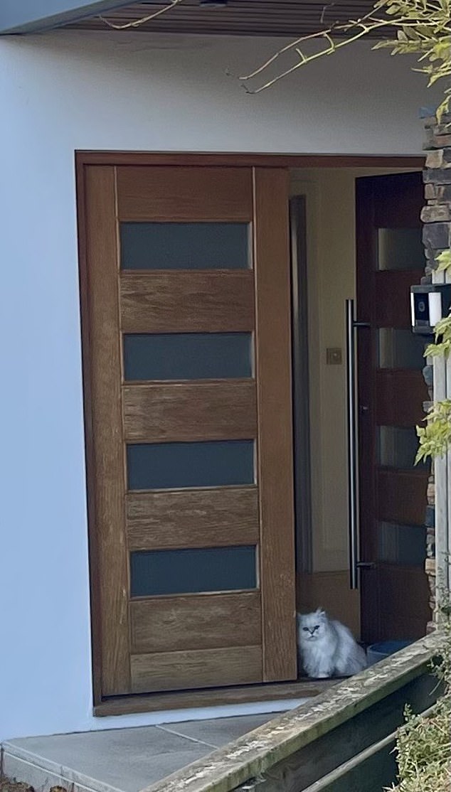 On Monday, when the Daily Mail visited the area, three luxury cars sat on the narrow driveway and an immaculately white Persian cat sat in the wooden doorway to the house