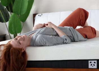 what to expect this November