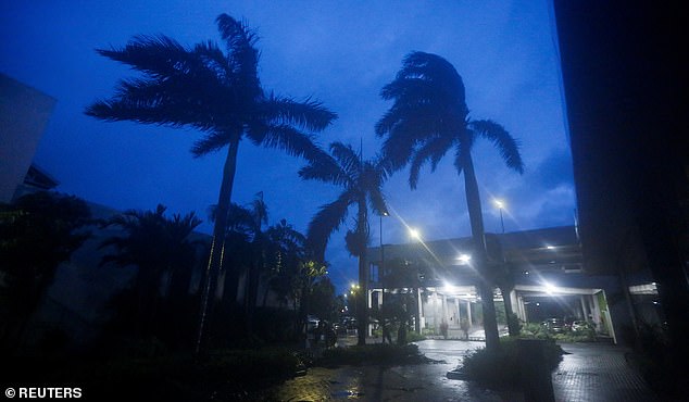 Palm trees sway as Hurricane Melissa is expected to make landfall in Kingston, Jamaica, October 28, 2025. REUTERS/Octavio Jones