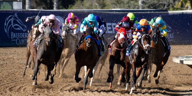 Our man Jack Keene reports from Del Mar as Aidan O'Brien and Charlie Appleby prepare for Breeders' Cup