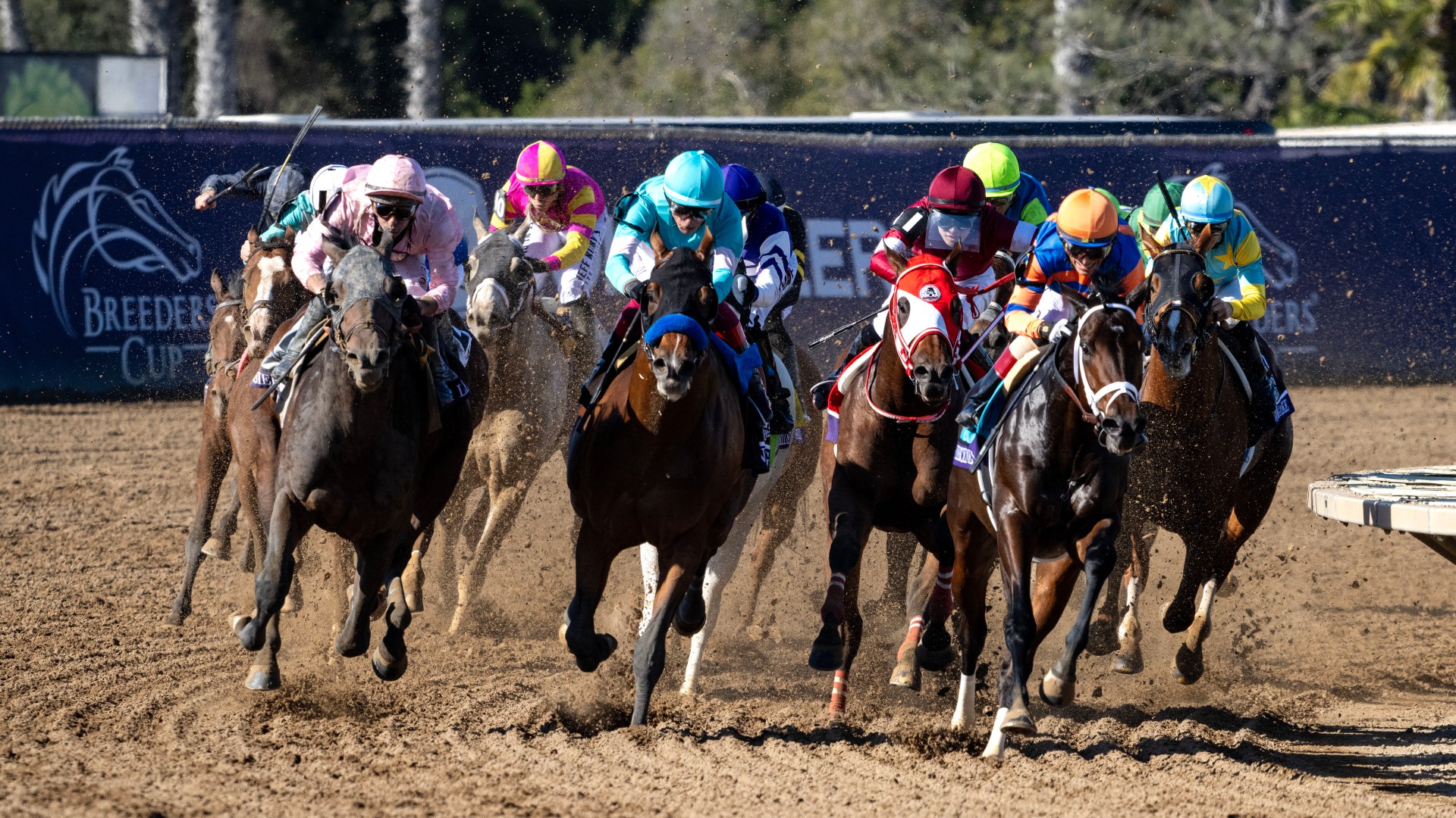 Our man Jack Keene reports from Del Mar as Aidan O'Brien and Charlie Appleby prepare for Breeders' Cup