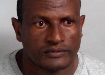 Sex attack hotel migrant who sparked frantic manhunt after accidental release from prison is deported to Ethiopia