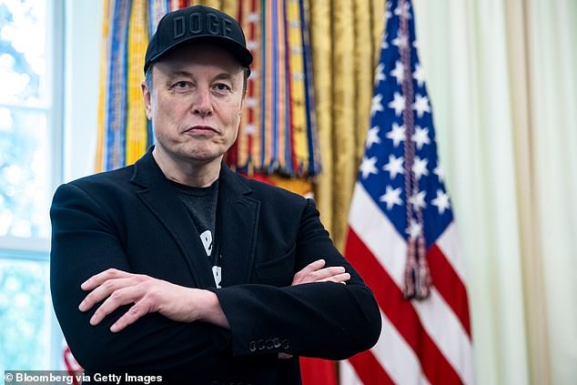 After first interacting with him and having her posts on X boosted by him last year, Elon Musk appears ready to help Seibt