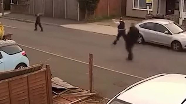 It comes as the man suspected of killing a 49-year-old dog walker in a knife attack in Uxbridge was revealed to be an Afghan national who arrived in the UK in a lorry five years ago. Pictured: The suspect being arrested by police