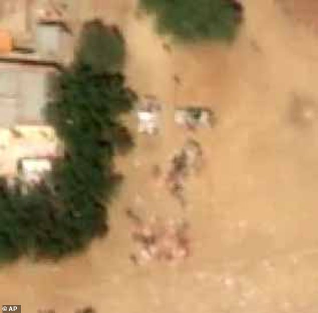 Bodies and blood: The sand around the western city of El Fasher is now stained red with pools of blood so thick they can be seen from space