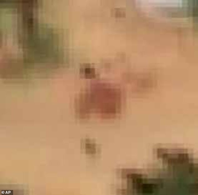 Pool of blood: The total death toll could not immediately be confirmed, but the shocking satellite images taken after the fall of El Fasher showed evidence of the mass killing