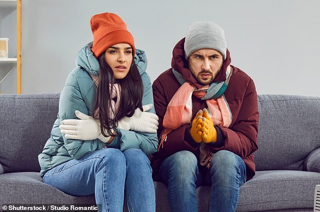 Ban: In 2023 the Advertising Standards Authority issued rulings against four firms, for plug-in mini heaters that misleadingly implied they saved money