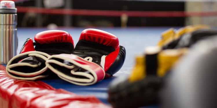 Fugitive boxer arrested in Marbella and deported back to UK after horror assault left victim needing emergency surgery