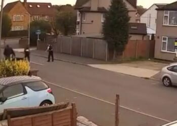 Afghan lorry migrant charged with murder after 'dogwalker stabbed to death and 14-year-old boy injured in rampage'