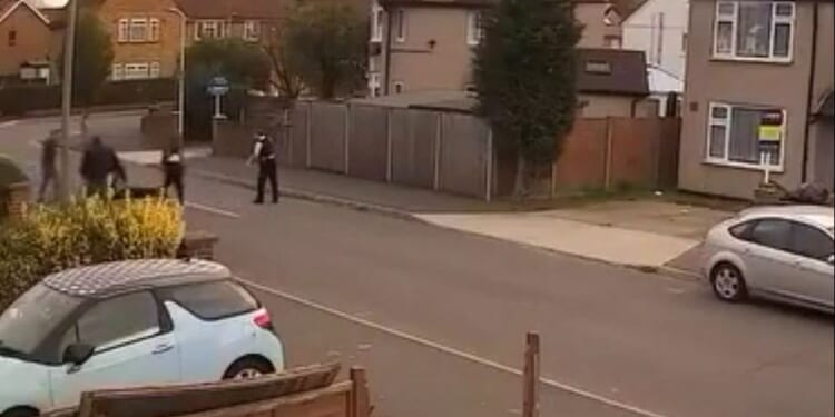 Afghan lorry migrant charged with murder after 'dogwalker stabbed to death and 14-year-old boy injured in rampage'