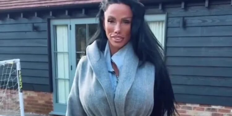 Horrifying moment Katie Price seems to KICK new puppy as panicked fans ask 'did she just boot him?'