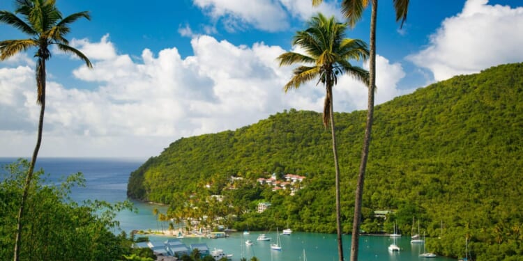 Brit, 26, found dead with gunshot wounds in Caribbean paradise island as cops launch murder investigation