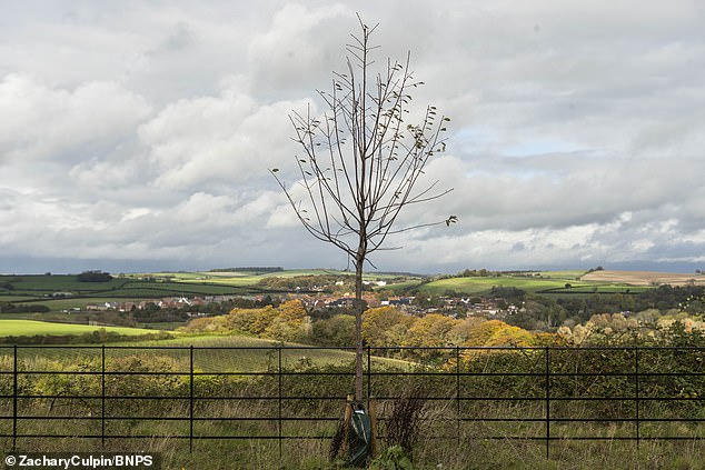 The picturesque views from the homes in Poundbury where residents have blasted the Duchy of Cornwall