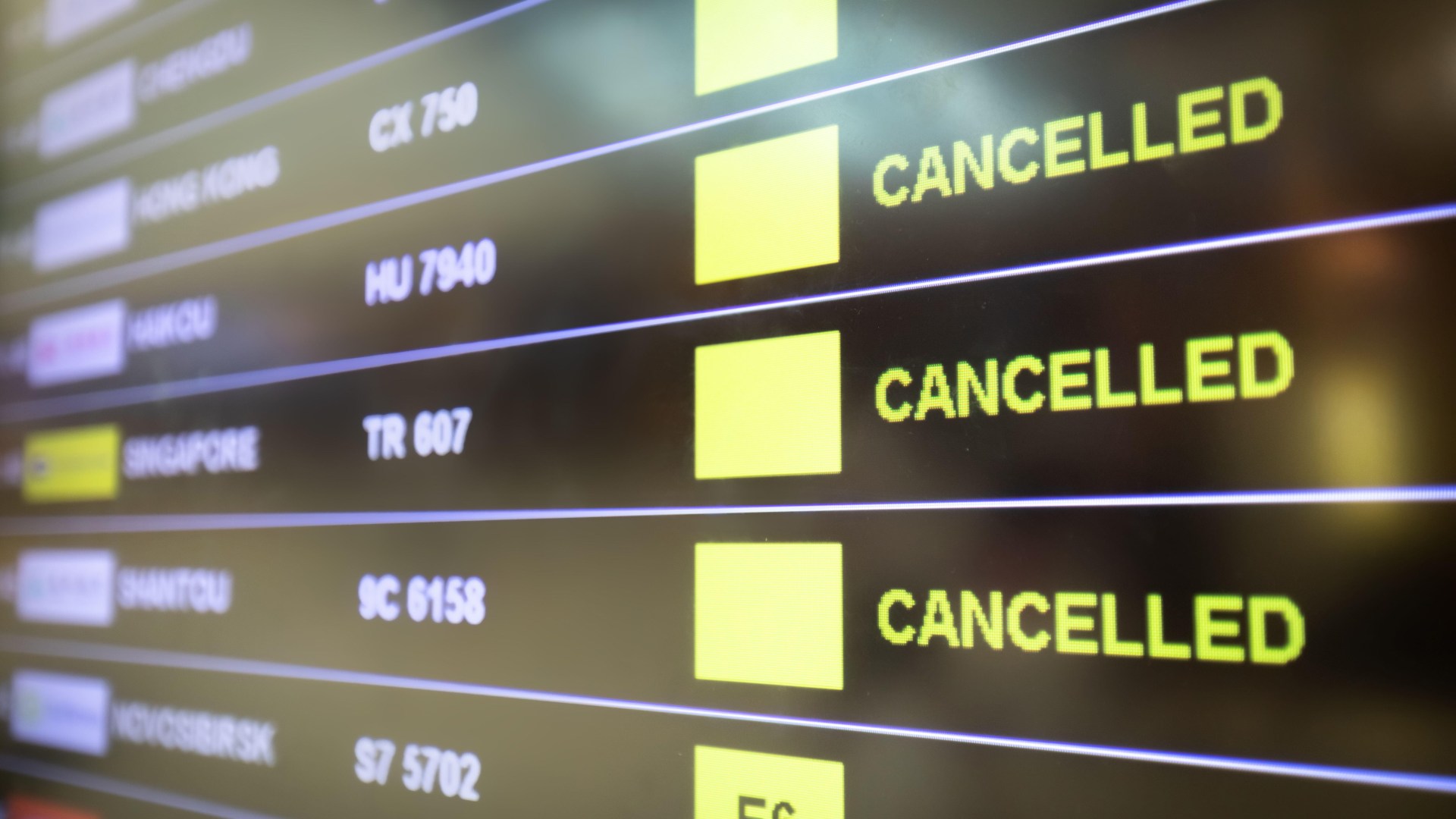 UK airline axes 250 jobs after grounding ALL flights and filing for administration