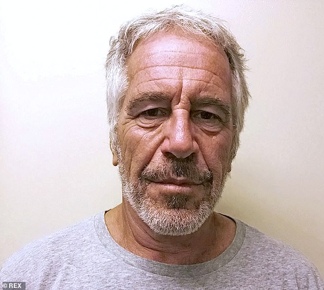 Epstein (pictured, his mugshot) was convicted in the States in 2008 for procuring a minor for prostitution and soliciting a prostitute, after pleading guilty