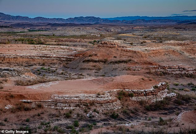 About an hour outside of Las Vegas , near the remote town of Searchlight, a man discovered the hundreds of remains on July 28 [stock image of Nevada Desert]