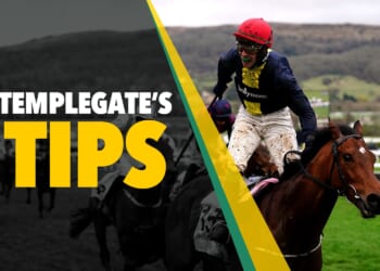 Horse racing tips: 'He's in amazing form winning by 58 lengths'