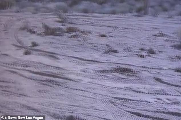 Tire tracks close to Area 51 that Joerg Arnu says are evidence of a recovery operation following the crash of a top secret aircraft last month