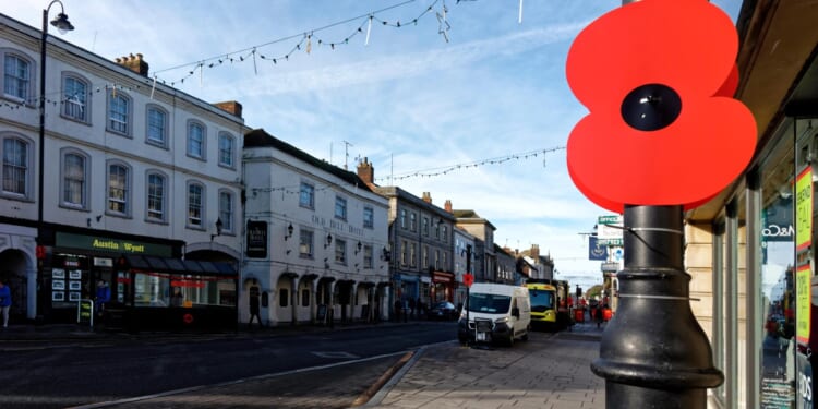 Police probe launched after Royal British Legion volunteers abused by 'left-wing idiots' as they put up poppies in town