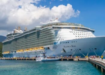 Woman, 66, died on Taylor Swift-themed cruise after falling overboard as family now sue firm for pouring too much booze