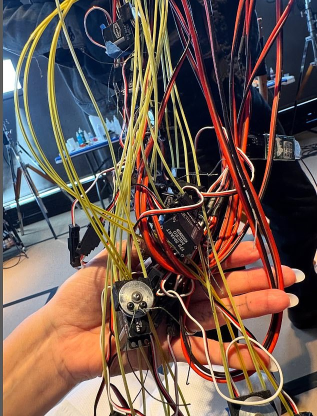 The quirky costume involves tons of wire