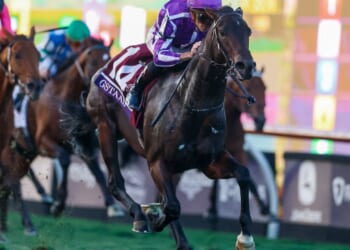 Gstaad gives Aidan O'Brien record Breeders' Cup win after 'majestic' Oisin Murphy ride