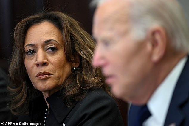 Harris said she regretted not drawing a clearer distinction between herself and Biden during her unsuccessful run for the presidency, but insisted she was 'not talking about competence'